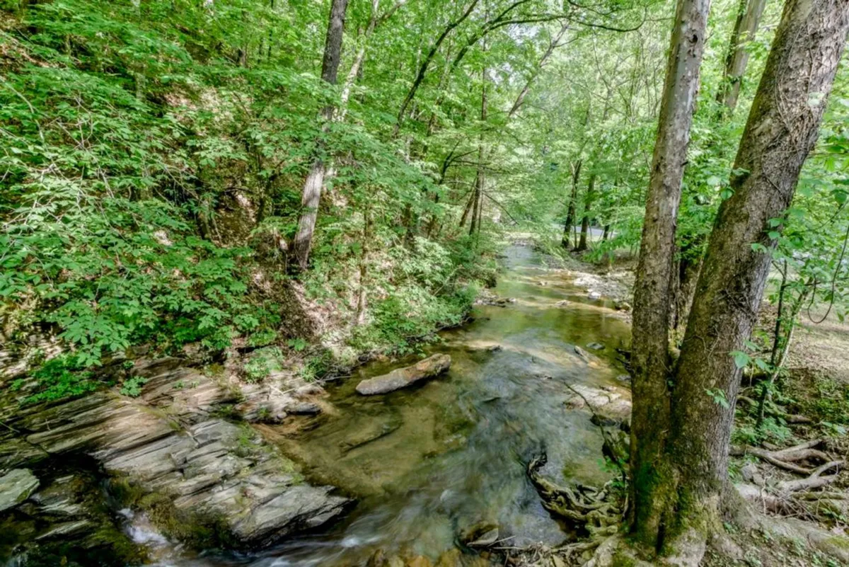 The image shows a tranquil, tree-lined creek bordered by large stones and lush foliage, inviting guests to explore, hike, or simply enjoy the serene natural setting. It captures the essence of the Smoky Mountains' outdoor appeal, with opportunities for nature-watching and family strolls.